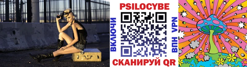 где найти   Солнечногорск  Псилоцибиновые грибы MAGIC MUSHROOMS 
